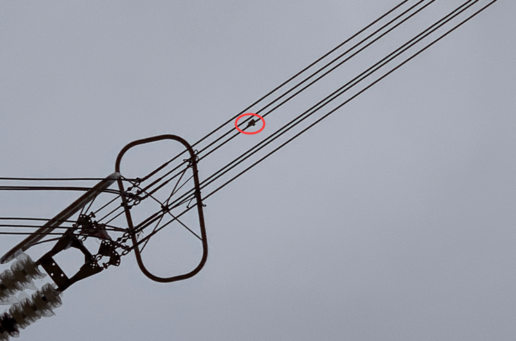 初心如磐,特力康高壓輸電線路導線溫度在線監(jiān)測系統(tǒng) 初心如磐,特力康高壓輸電線路導線溫度在線監(jiān)測系統(tǒng)